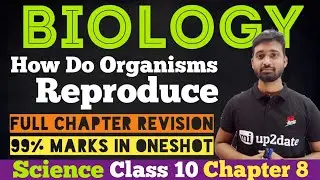 How Do Organisms Reproduce | Biology Class 10