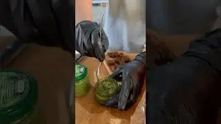 Дегустация песто в Севкабеле
