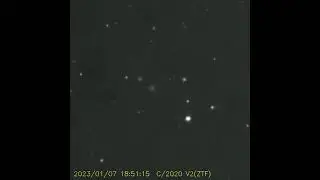 ZTF彗星 C/2020 V2(ZTF)