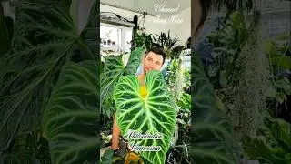 27 июля 2024 г.