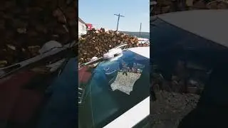 роботы