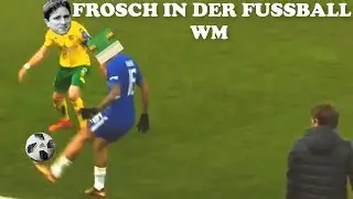 Frosch in der Fussball  WM.