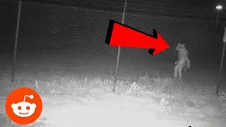 Porch Pirates