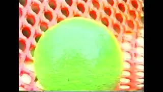 Citrus Aurantium L