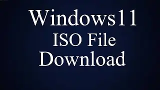 Windows 11 ISO File Download