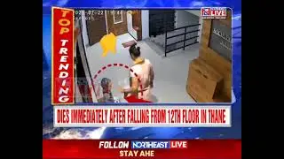 4-Year-Old Child Falls from 12th Floor After Mom Makes Her SIt on Shoe Rack in Maharashtra; Dies