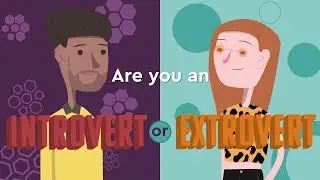 Can You Really be Categorized as an Introvert or Extrovert?