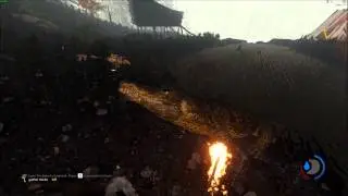 The Forest | crocodiles? That Eats Small Birds?