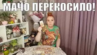 ЕГИПЕТСКАЯ СИЛА! МАЧО ПЕРЕКОСИЛО!
