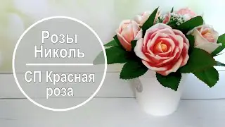 Обзор Розы Николь из СП Красная роза 🌹 Мыло Craft