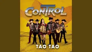 Tao Tao