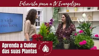Aprenda a cuidar das suas plantas - Programa  TV Evangelizar