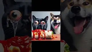Spicy burrito eating challenge. Cat and dog