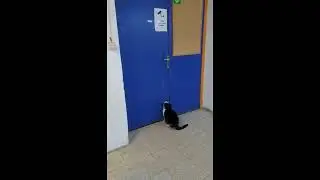 Kočka maká ve skladě ...