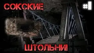|Сталкинг #5| Ну вот и 