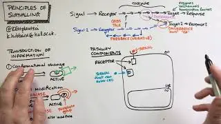Principles of Cell Signalling