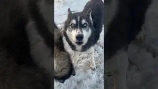 Отказ от парикмахерских услуг