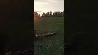 т-40-коней #сенокос