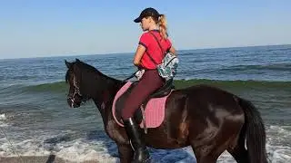 ЗАТОКА 2020 ПЛЯЖ МОРЕ БУДАКСКАЯ КОСА ПАЛАТОЧНЫЙ ГОРОДОК
