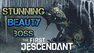 Stunning beauty boss void intercept battle the first descendant 4k 60FPS no commentary, no deaths