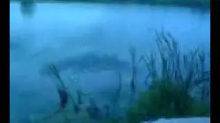пьяное позорище))
