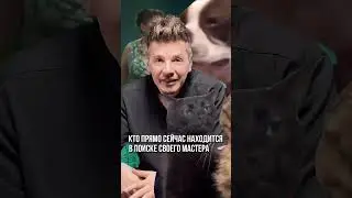 Очень неприятная правда