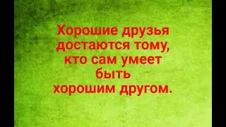 Хорошие друзья.