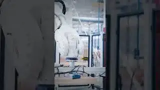 Robots team for windows production