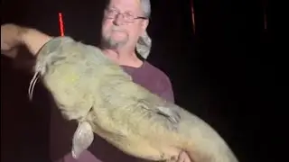 New personal best flathead caught from the bank TANK!!
