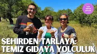 Şehirden Tarlaya: Zehirsiz Gıdaya Yolculuk 🌱🥗 | Kendi Yiyeceğini Yetiştir! 🏡🍅