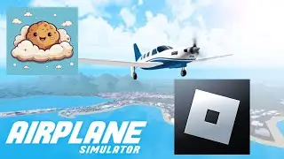 Playing airplane simulator