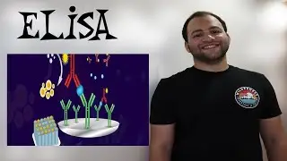 ELISA