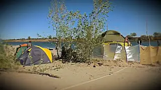 РЫБАЛКА НА САЗАНА СВЕЖЕЕ ВИДЕО 2019, СОЛЕНОЕ ЗАЙМИЩЕ, КАРПФИШИНГ В АВГУСТЕ НА НИЖНЕЙ ВОЛГЕ
