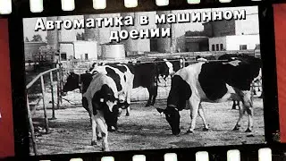 АВТОМАТИКА В МАШИННОМ ДОЕНИИ. Часть 1