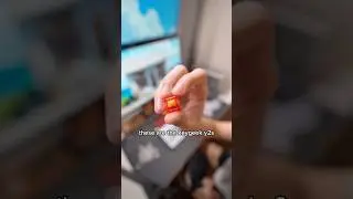 The THOCKIEST Switches!