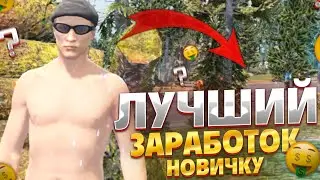 ЛУЧШИЙ СТАРТ ПОСЛЕ КВЕСТОВ ДЛЯ НОВИЧКА НА MAJESTIC RP GTA 5 RP