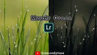 MOODY DARK GREEN PRESET | LIGHTROOM TUTORIAL | THE MOODY TONE |