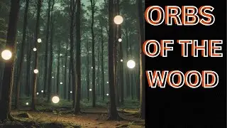 ORBS OF THE WOOD