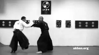 Moguri dori, Kukishin ryu Dakentaijutsu - Ninjutsu technique for Akban wiki