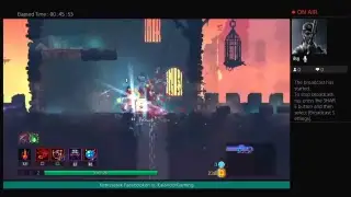 Dead cells HUN stream