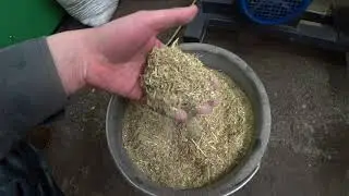 Pellets for rabbit feed. Productivity for rabbits.