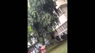 Badminton - Shuttle stuck on Tree -part 1 Rhea, Arthur, Avila, Celso