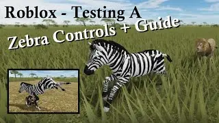 Roblox -Testing A - Zebra Controls + Zebra Guide