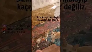 TABİ TABİ SİZ DEĞİLSİNİZ