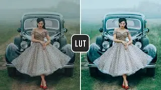 Moody Blue FREE Lookup Table (LUT) - Before & After