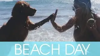 BEACH DAY WITH TEAM TORRES