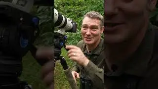 Wildlife of Panama 🦥🌴 | Panama 🌎🇵🇦
