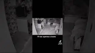 вот что засняла скрытая камера 😨