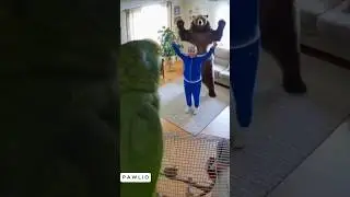 Granny bear and parrot #bodycam #dashcam #funny #ai #cop #sora2 #grandma #bear #parrot