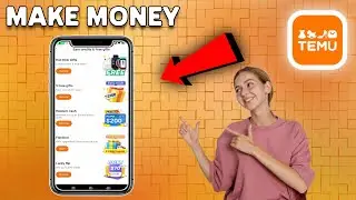 How To Make Money On Temu (EASY GUIDE)